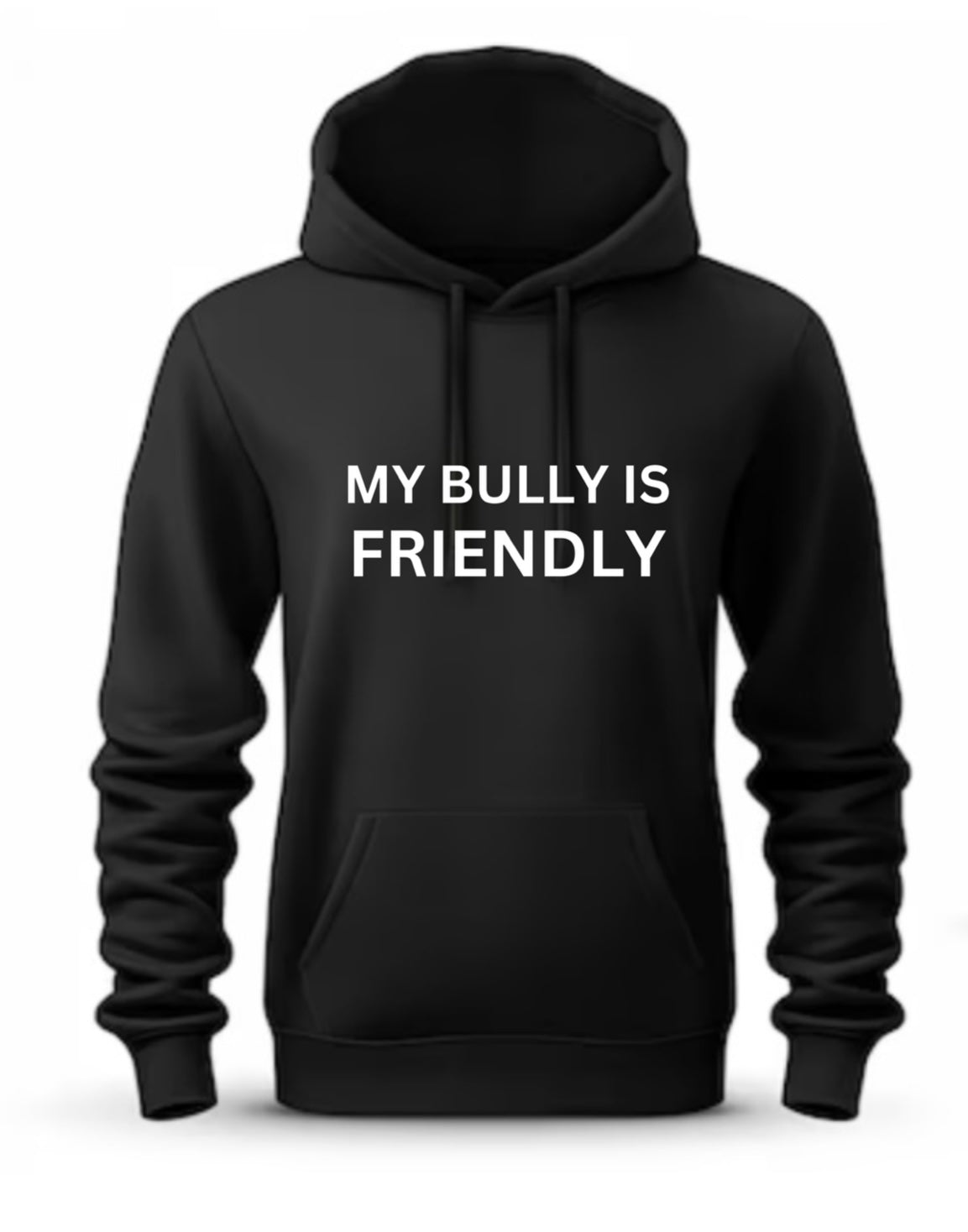 MY BULLY IS FRIENDLY HOODIE