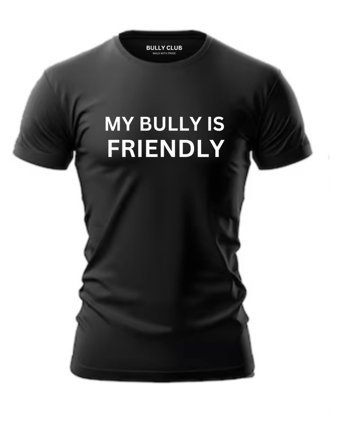 MY BULLY IS FRIENDLY T-SHIRT